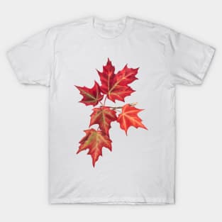 Red leaves blown in the wind T-Shirt